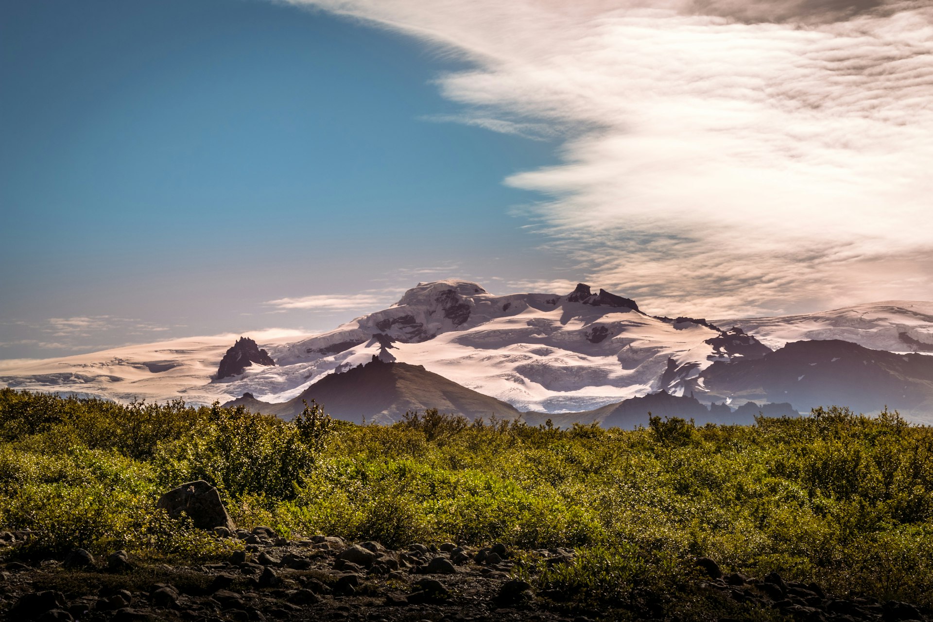 green trees on mountain